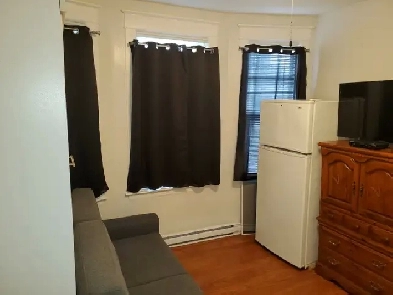 Furnished Bachelor downtown -$745 per month everything included Image# 7