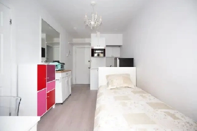 Furnished Studio Downtown Image# 2