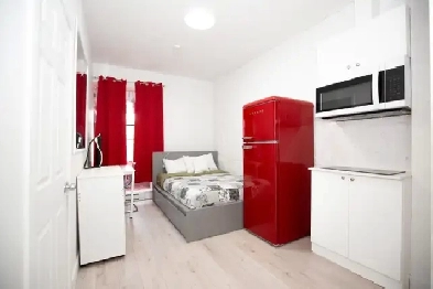 Furnished Studio Downtown Image# 3