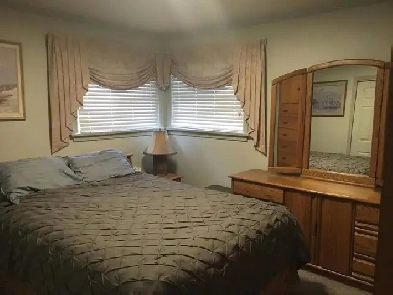 $850 Shared Accomodations For Female Student Gonzales Area. Image# 1