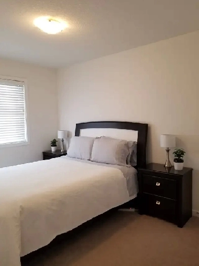 South Edmonton Home has Room for Rent -  for Female - August 1st Image# 1
