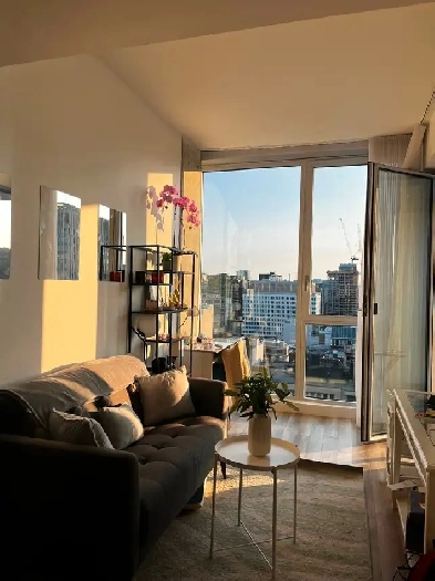 Lease Transfer –  1-Bedroom Apartment | Downtown Montreal Image# 4