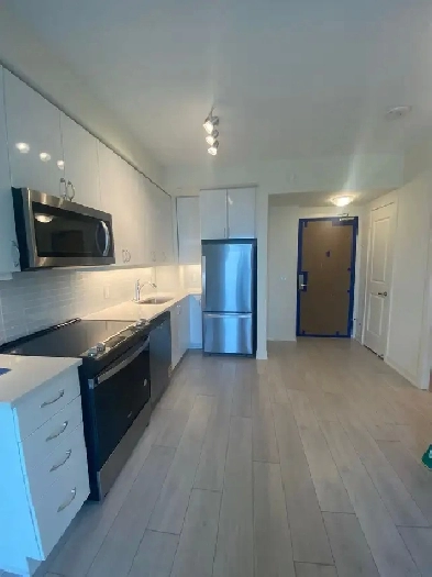 1-Bedroom Condo for Rent – Lake View | 49th Floor Image# 3