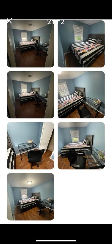 Private Room Sept 1 - Furnished. Shared Washroom Image# 2