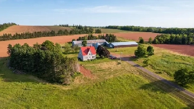 Hobby Farm For Sale - Graham's Road, PEI Image# 5