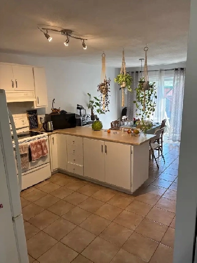 logement de 2 chambres à coucher dans les hautes plaines Image# 4