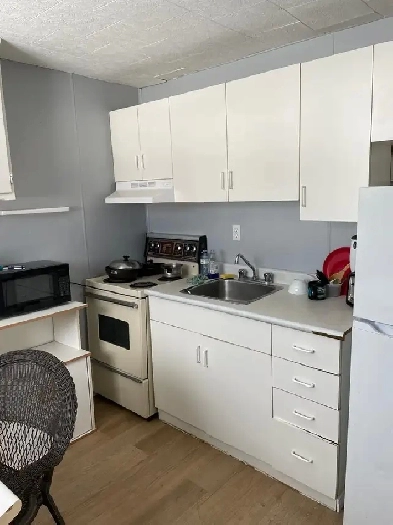 Great 1 and 3 bedroom apartments for Rent in Geraldton Ontario Image# 1