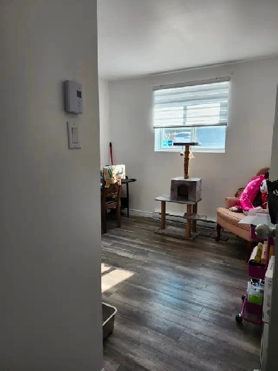 Beau et rénové 4 1/2 Ouest de l'ile PRES DE TOUT Image# 1