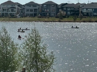 2 Bedrooms furnished Legal suite in walkout basement Image# 1