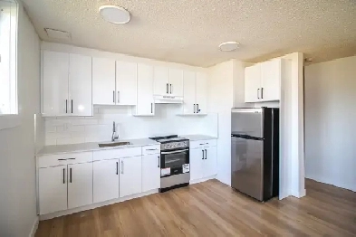 1 Bedroom Raven at Royal Apartments - 3615 119th - Royal Apartme Image# 6