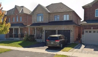 Newly Renovated Basement in Whitby for Rent (Utilities included) Image# 3