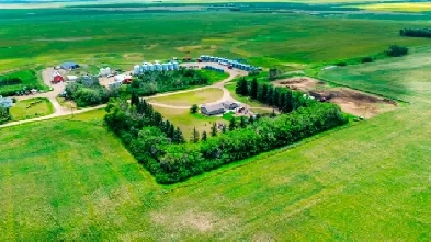 Immaculate Acreage in Starland County (near Delia, AB) Image# 9
