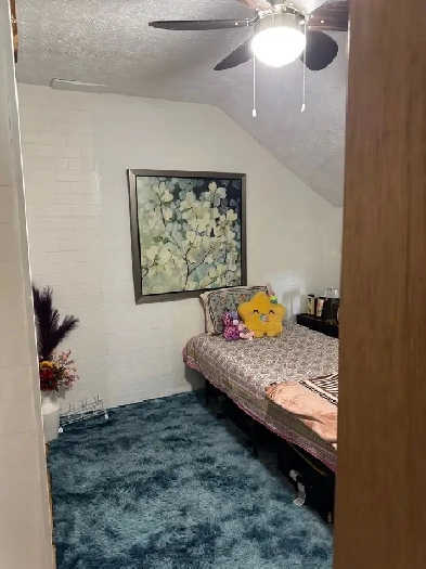 Room near Cineplex (Sydney, Cape Breton) Image# 1