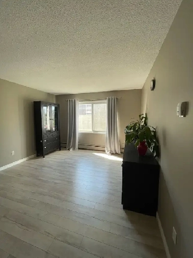 1 and 2 bd apartment rental Image# 3