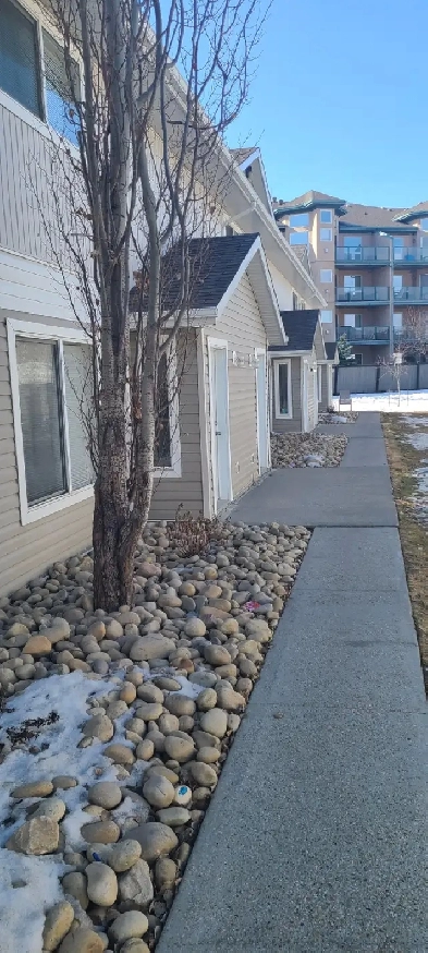 Leduc room rent 750 Image# 4