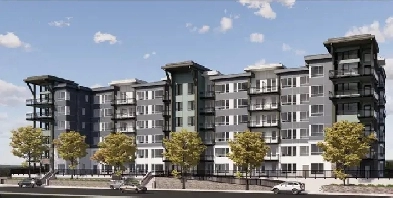 One Bedroom cat-friendly Suite in a new Building! Image# 1