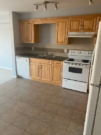 2 Bedroom Condo next to NAIT Image# 6