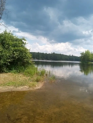 Waterfront Property Image# 4