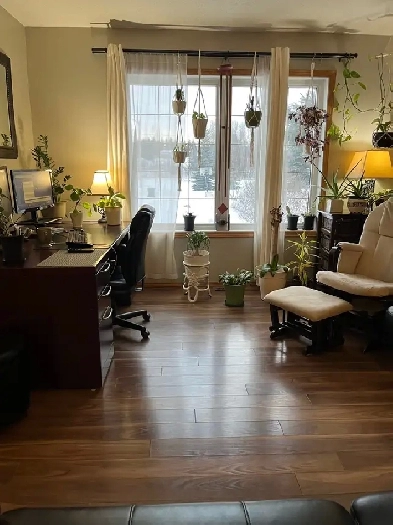2 bedroom by spring lake Image# 6
