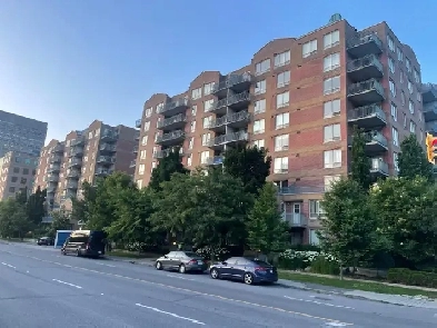 Large 1 bdrm/den or 2 bdrm near Tunneys Pasture. Image# 5