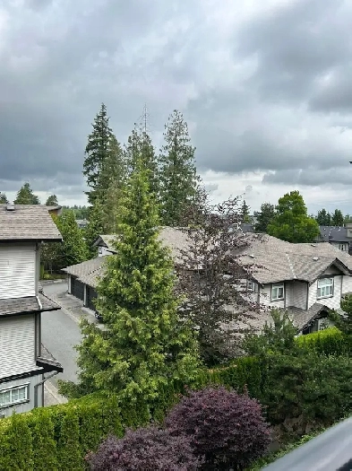 2 bed and 2 bath condo for rent Image# 1