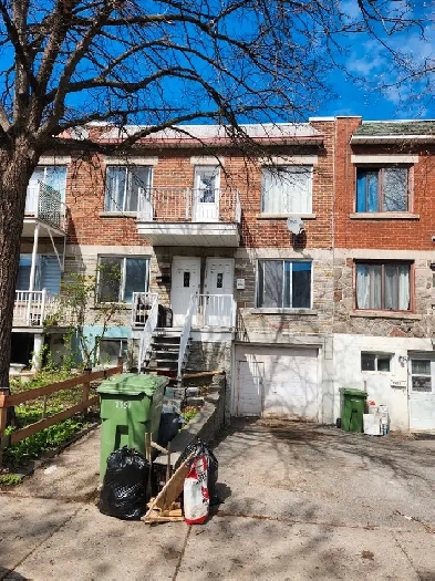 Apartment for rent Image# 1