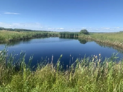 Prime cottage location in the R.M of Lac du Bonnet Image# 19
