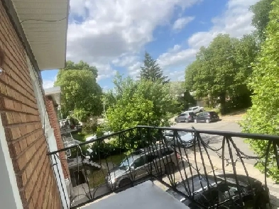 Rent 5 1/2 apartment Image# 1