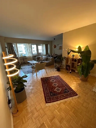 3 1/2 Apartment Image# 3