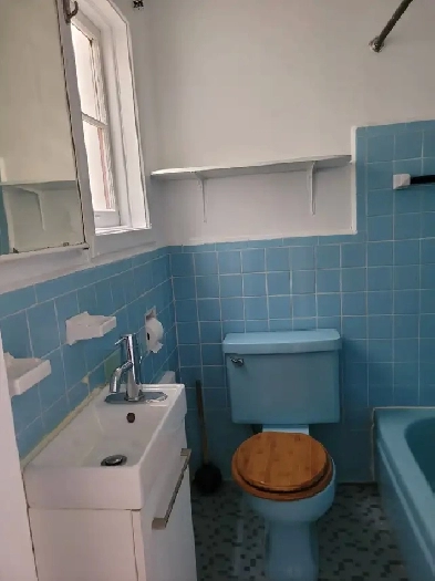VERDUN SMALL 3/1/ GREAT LOCATION ,METRO DE LEGLISE , Image# 5