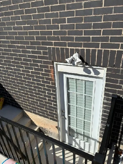 2 BR legal walkout apartment in Oakville for rent from 1-Sep Image# 1