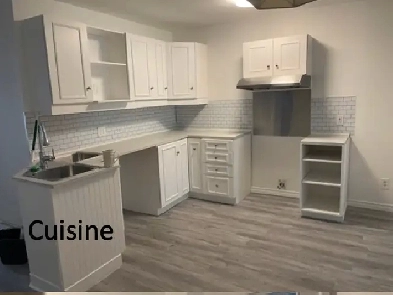 Appartement sur 2 étages - 10 min du Métro Préfontaine Image# 8