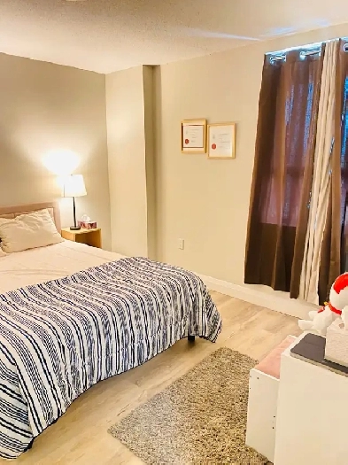 Room for Rent in 3Bhk Apartment Image# 9