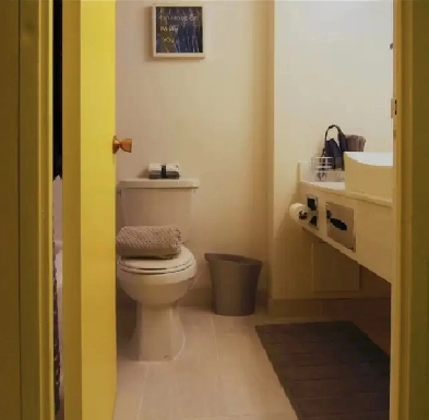 Toronto College Station Apt. Sublet (7/20 ~ 8/20) Image# 1