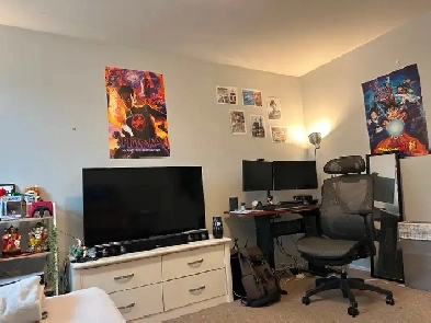 Private room lease/sublet Image# 1