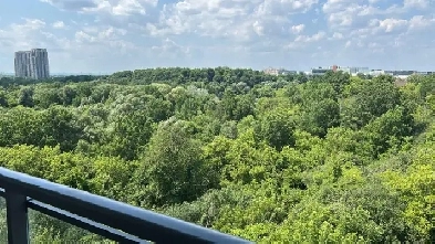 Modern 1 Bedroom   Den Condo for Rent in Etobicoke – 2 Full B Image# 4