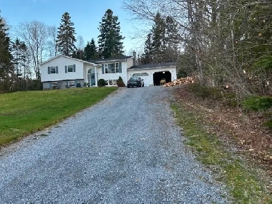 Room for rent Image# 1