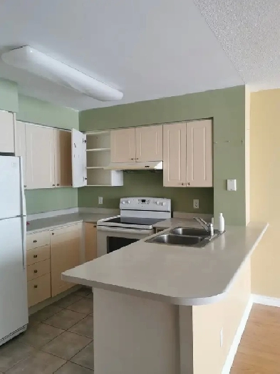 2 bedroom condo in Yonge Image# 3