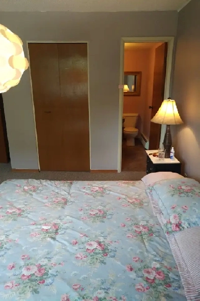 Aug 1st - LARGE furnished romm with bathroom Image# 2