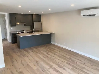 New & Modern Bright Walkout Apartment Image# 1