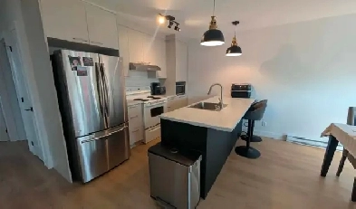 Appartement 4 1/2 pour le 1 août à Ste-Hélène Image# 8