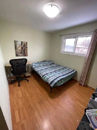 Single room for rent, about 1km to College, bus stop at front Image# 1