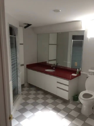 stunning 1 bed BSMT,heart of Maple, big living dining kitchen Image# 2