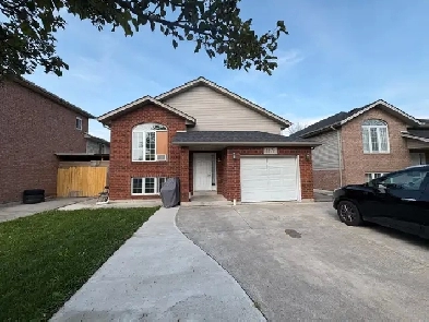 Room Available  for rent Image# 1