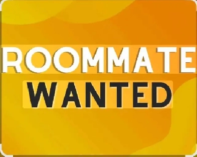 Roommate Wanted Image# 1