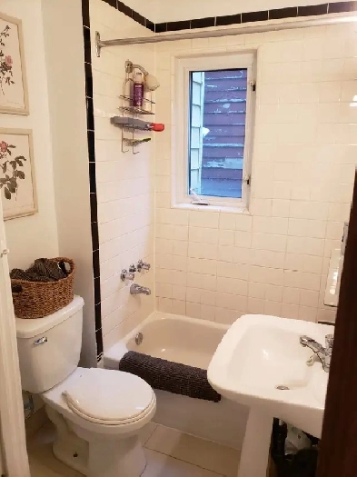 Detached House for Rent - Danforth /Jones and Gerrard/Jones Image# 9