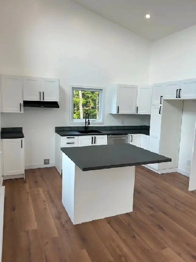 Appartement neuf à louer 4 1/2 Image# 4