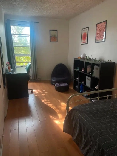 chambre privée - Berri UQAM - début aout Image# 9
