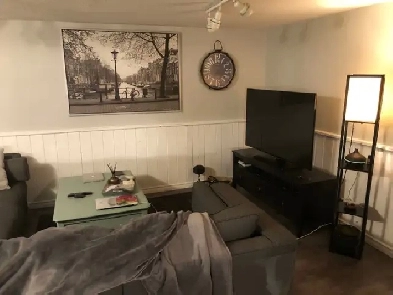 Cozy Basement with Sparkling Kitchen Image# 9