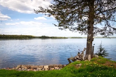 Ranger Lake  Cabin only 119k - Your peaceful retreat awaits :) Image# 9